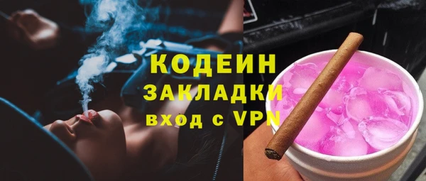 индика Баксан
