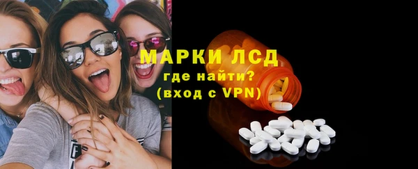 индика Баксан