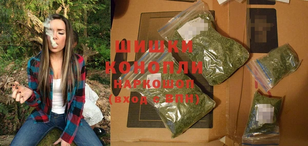 индика Баксан