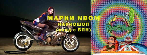 индика Баксан