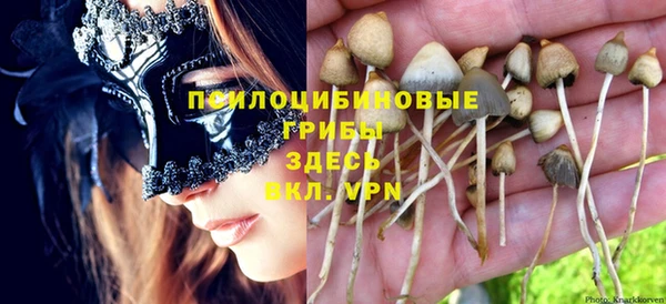 прущий лед Балахна