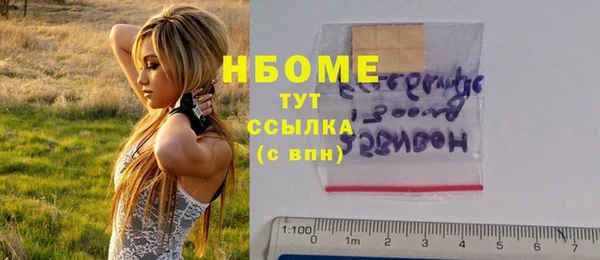 индика Баксан