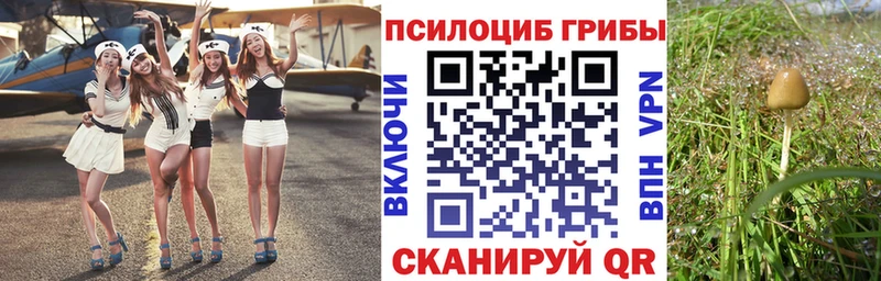 ОМГ ОМГ ONION  Тобольск  Галлюциногенные грибы мицелий  как найти наркотики 
